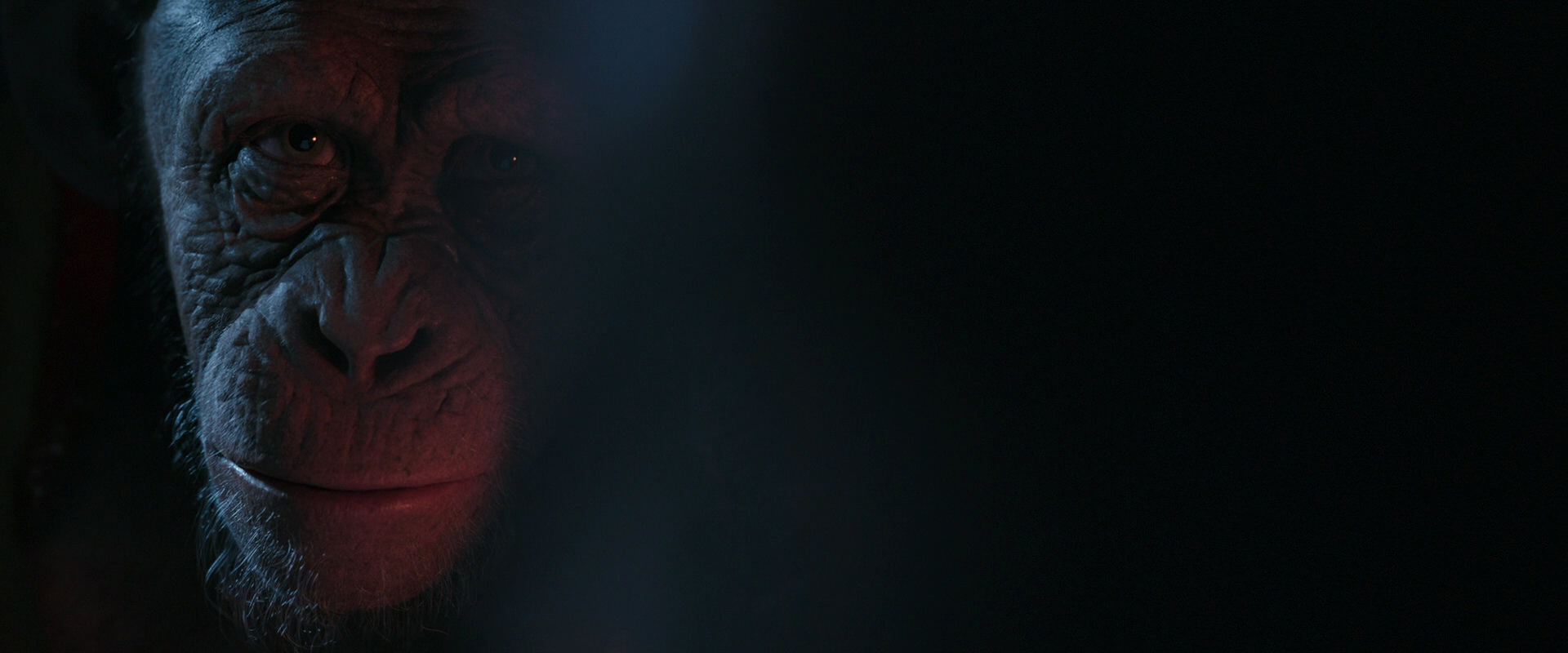 War for the Planet of the Apes (2017) movie still 6076