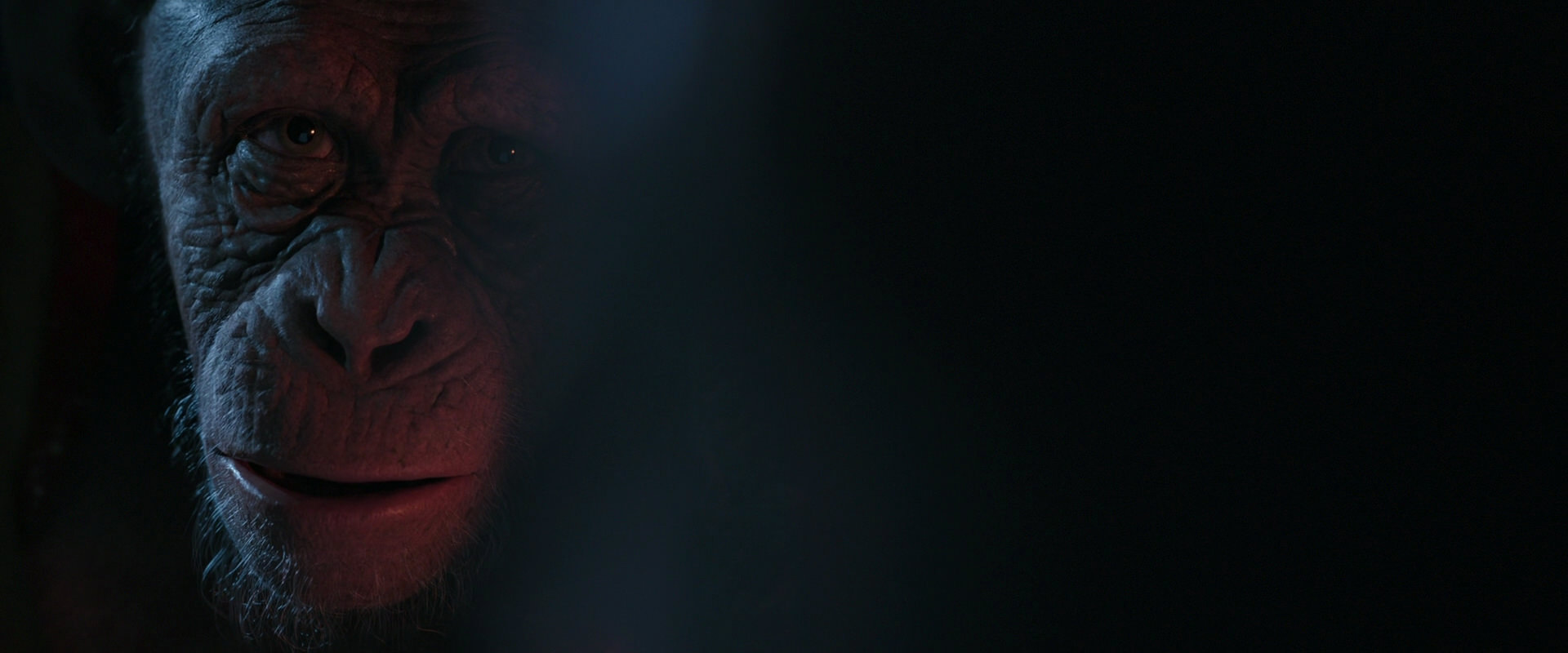 War for the Planet of the Apes (2017) screencap 6078