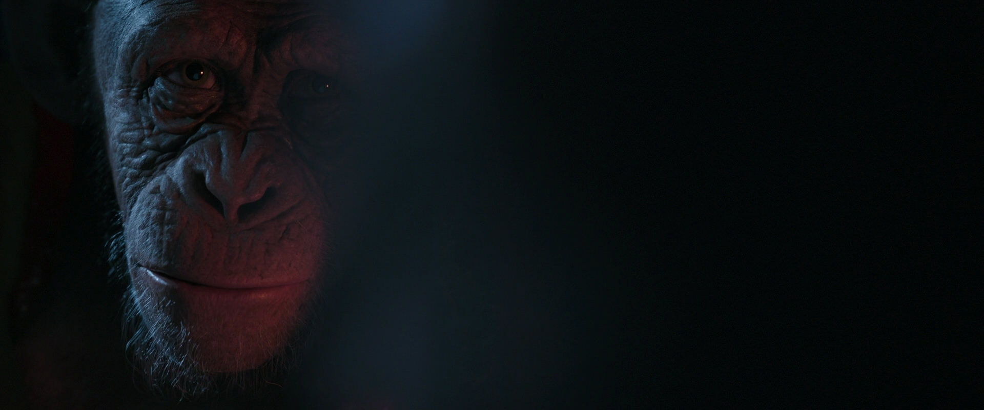 War for the Planet of the Apes (2017) screencap 6081