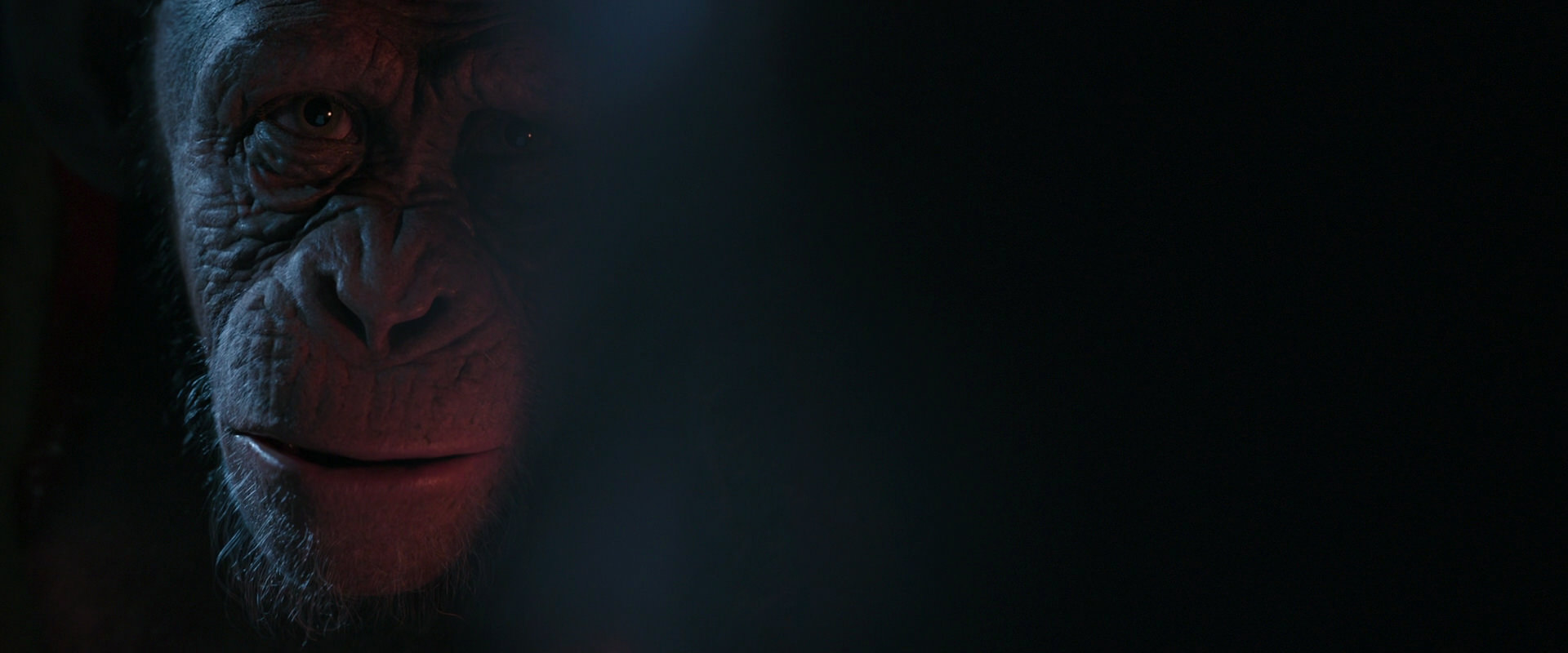 War for the Planet of the Apes (2017) movie still 6082