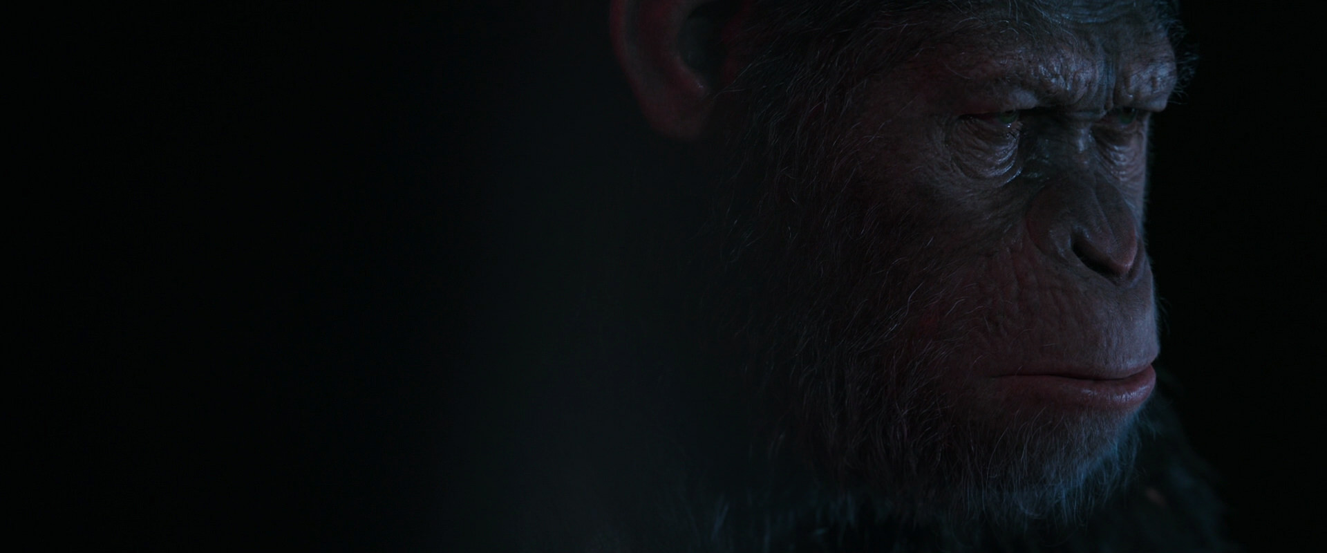 War for the Planet of the Apes (2017) screencap 6084