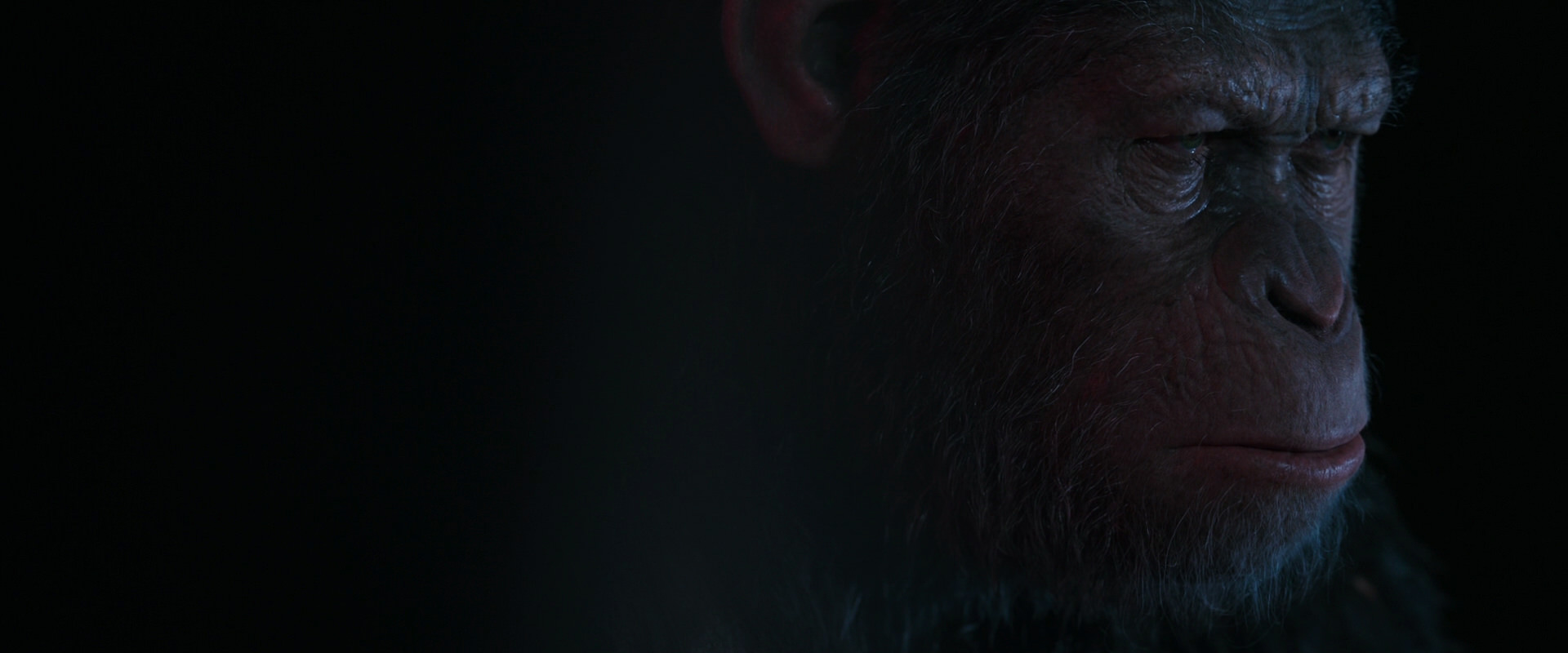 War for the Planet of the Apes (2017) movie still 6085