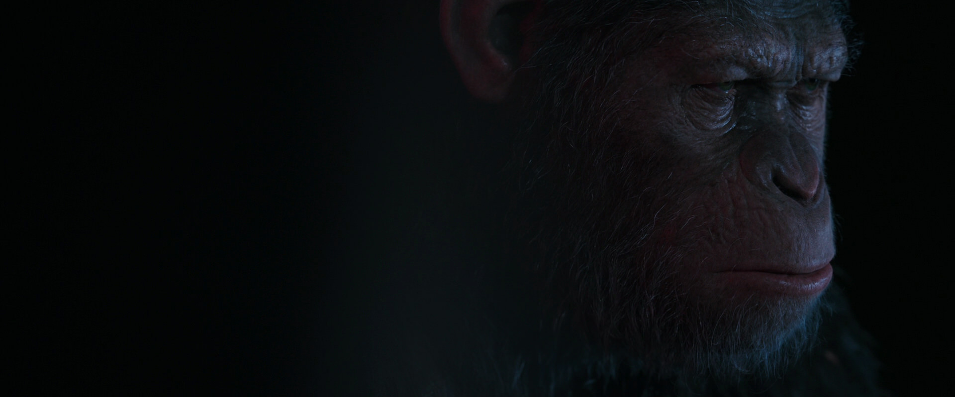War for the Planet of the Apes (2017) screencap 6087
