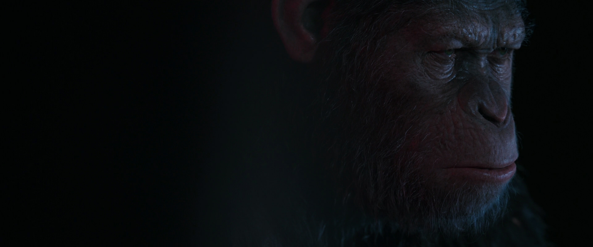 War for the Planet of the Apes (2017) movie still 6088