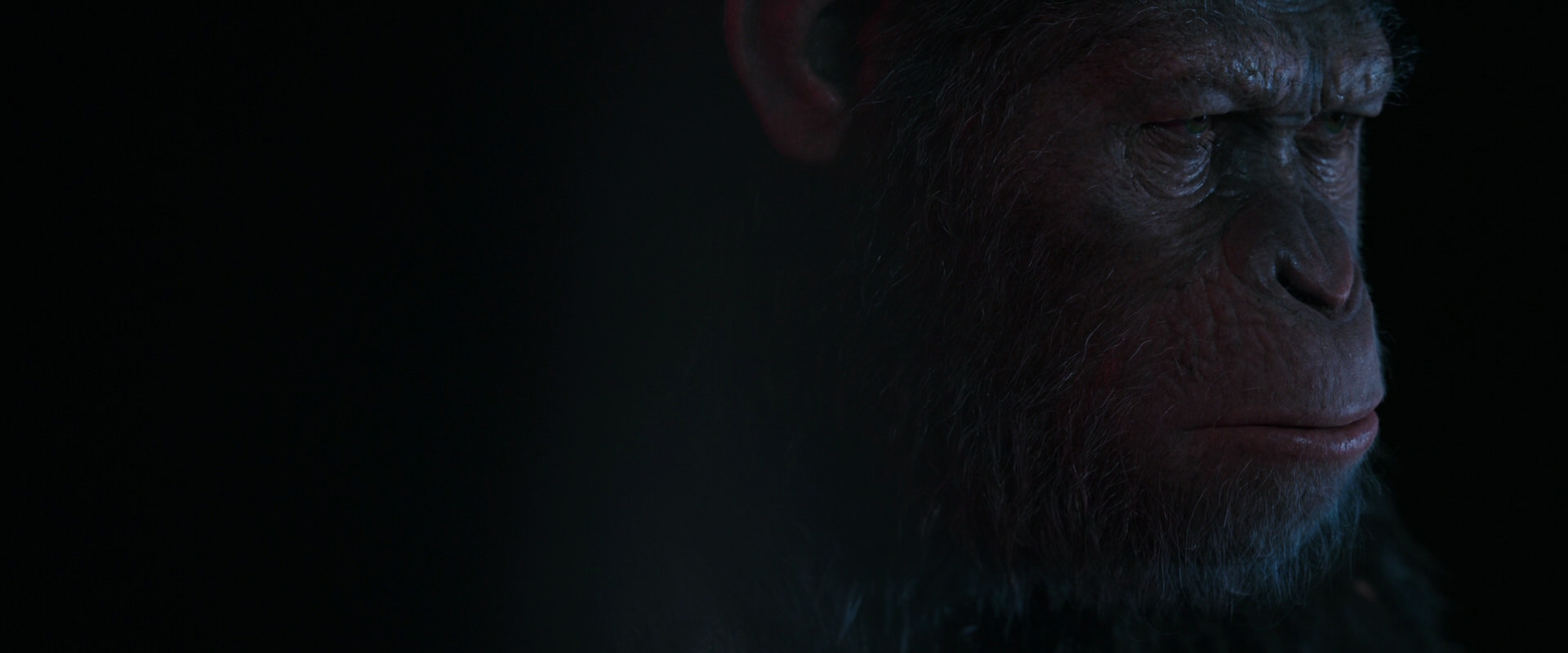 War for the Planet of the Apes (2017) HD screenshot 6092
