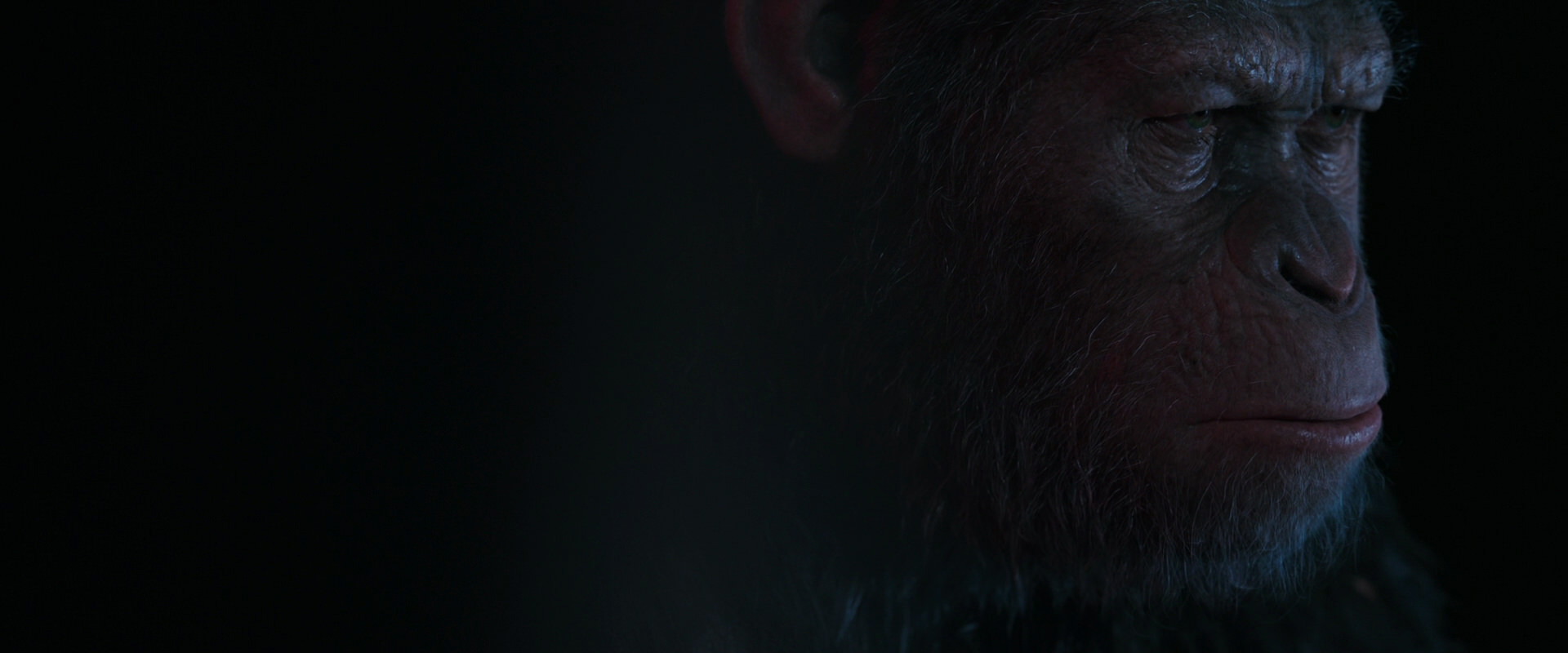 War for the Planet of the Apes (2017) screencap 6093