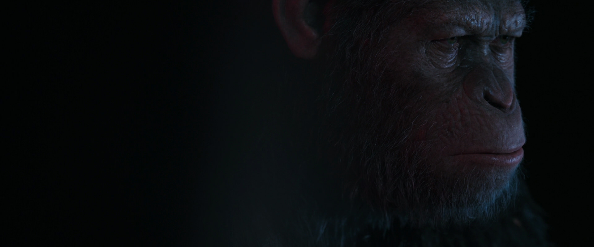 War for the Planet of the Apes (2017) movie still 6094