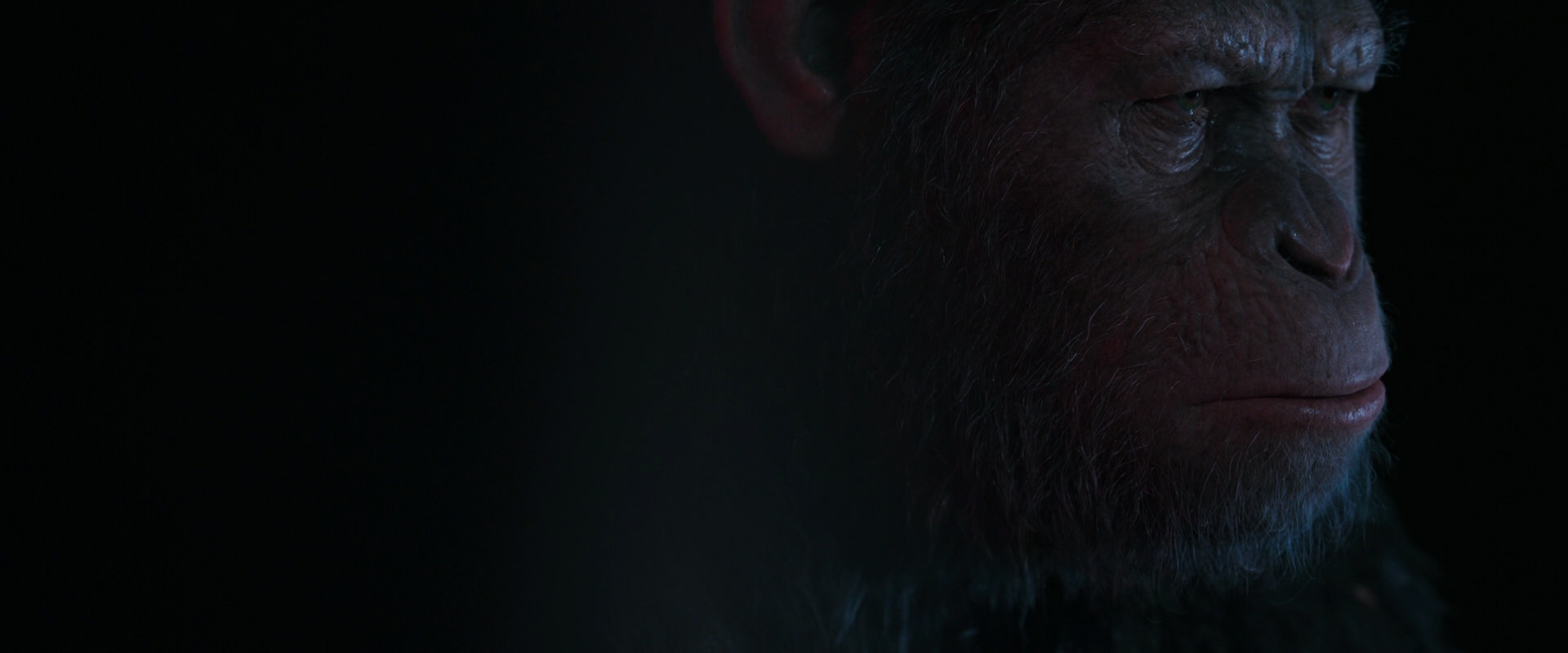 War for the Planet of the Apes (2017) HD screenshot 6095