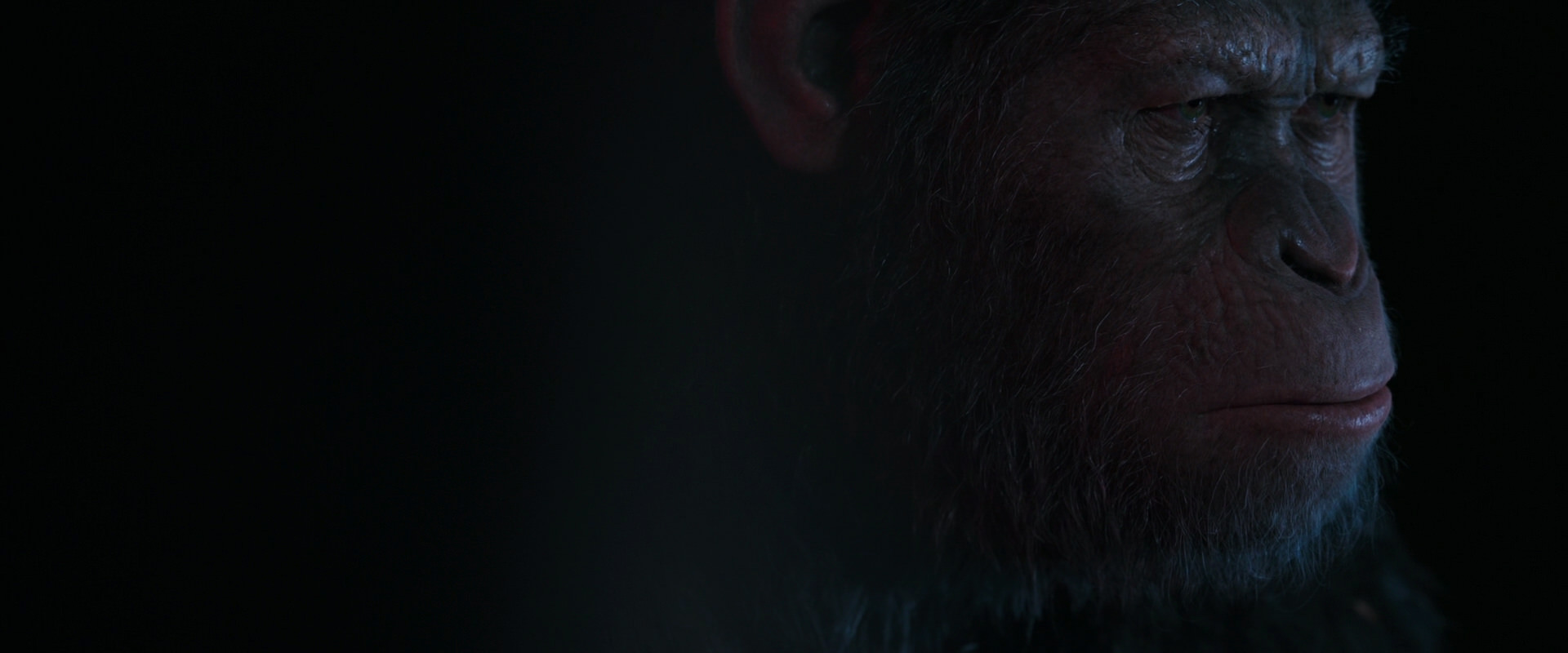War for the Planet of the Apes (2017) screencap 6096