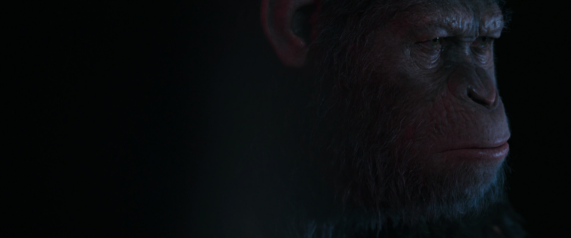 War for the Planet of the Apes (2017) movie still 6097