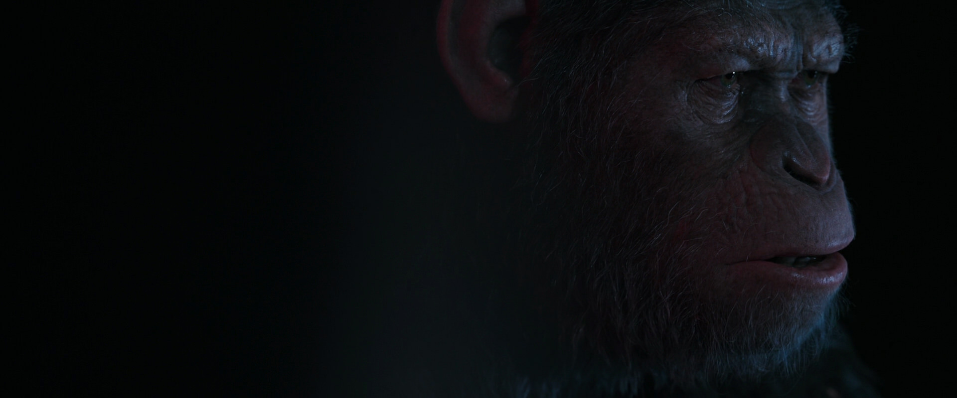 War for the Planet of the Apes (2017) HD screenshot 6098