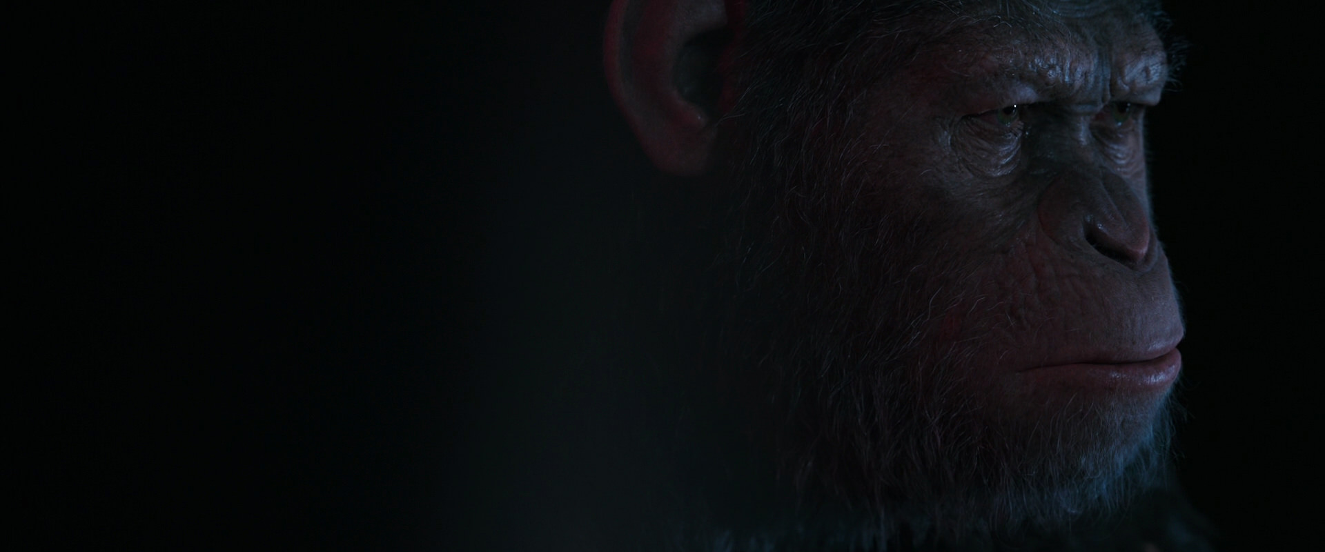 War for the Planet of the Apes (2017) screencap 6099