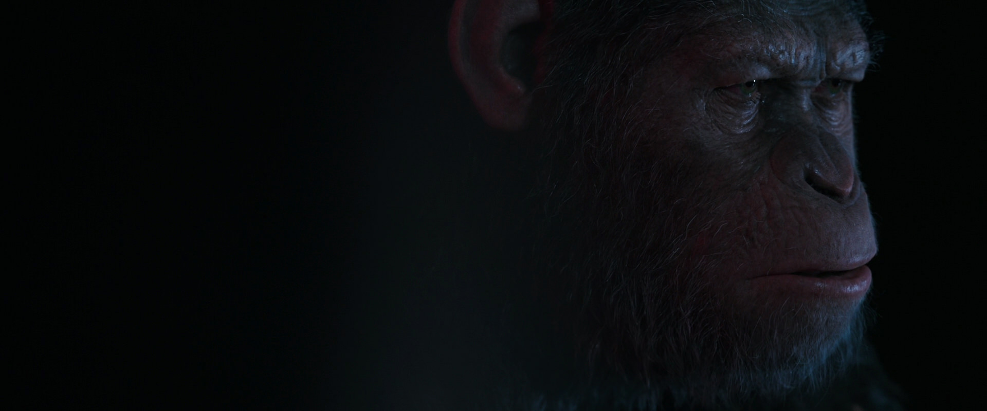 War for the Planet of the Apes (2017) movie still 6100