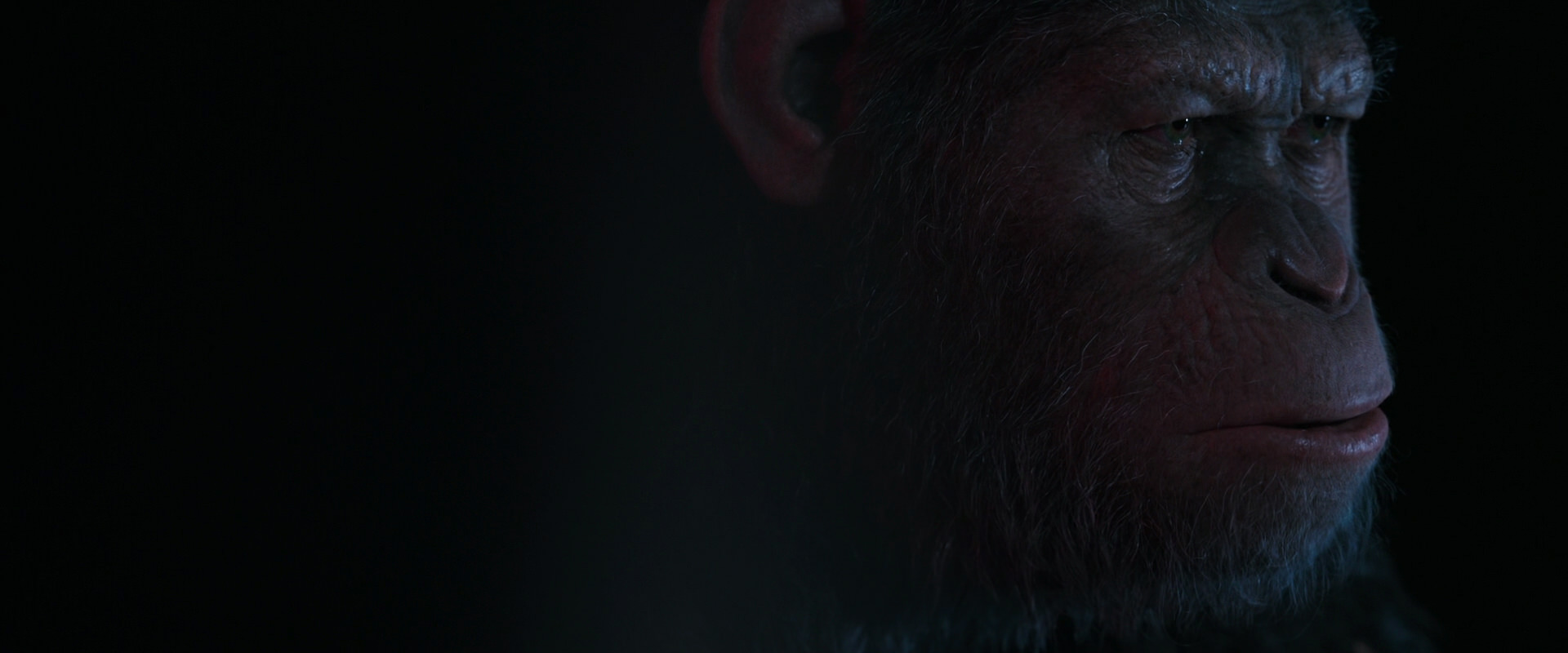War for the Planet of the Apes (2017) HD screenshot 6101