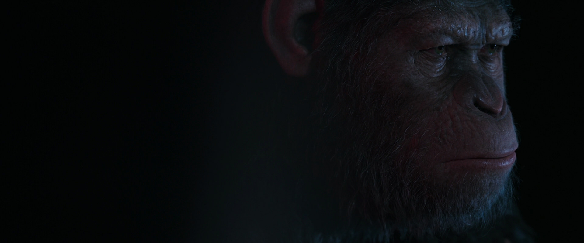 War for the Planet of the Apes (2017) screencap 6102