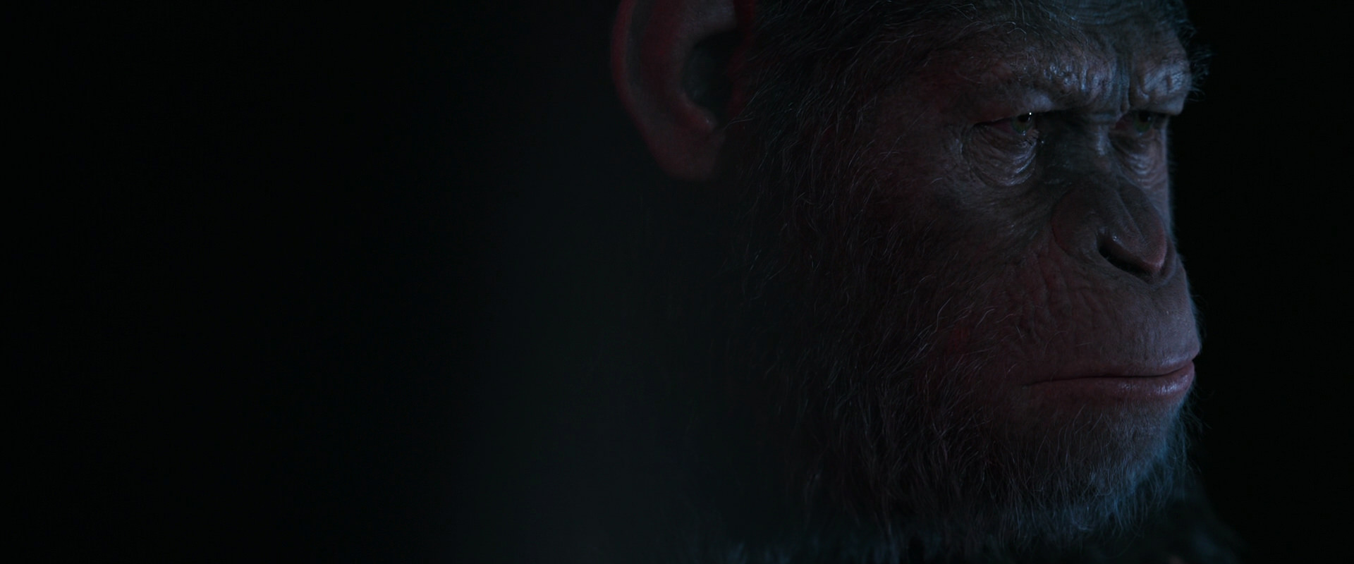 War for the Planet of the Apes (2017) movie still 6103