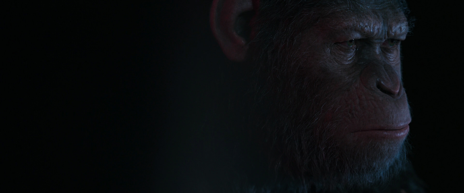 War for the Planet of the Apes (2017) HD screenshot 6104