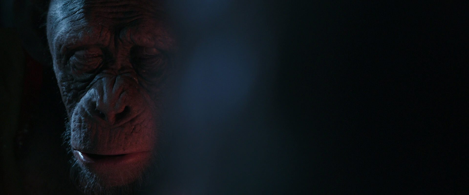 War for the Planet of the Apes (2017) screencap 6108