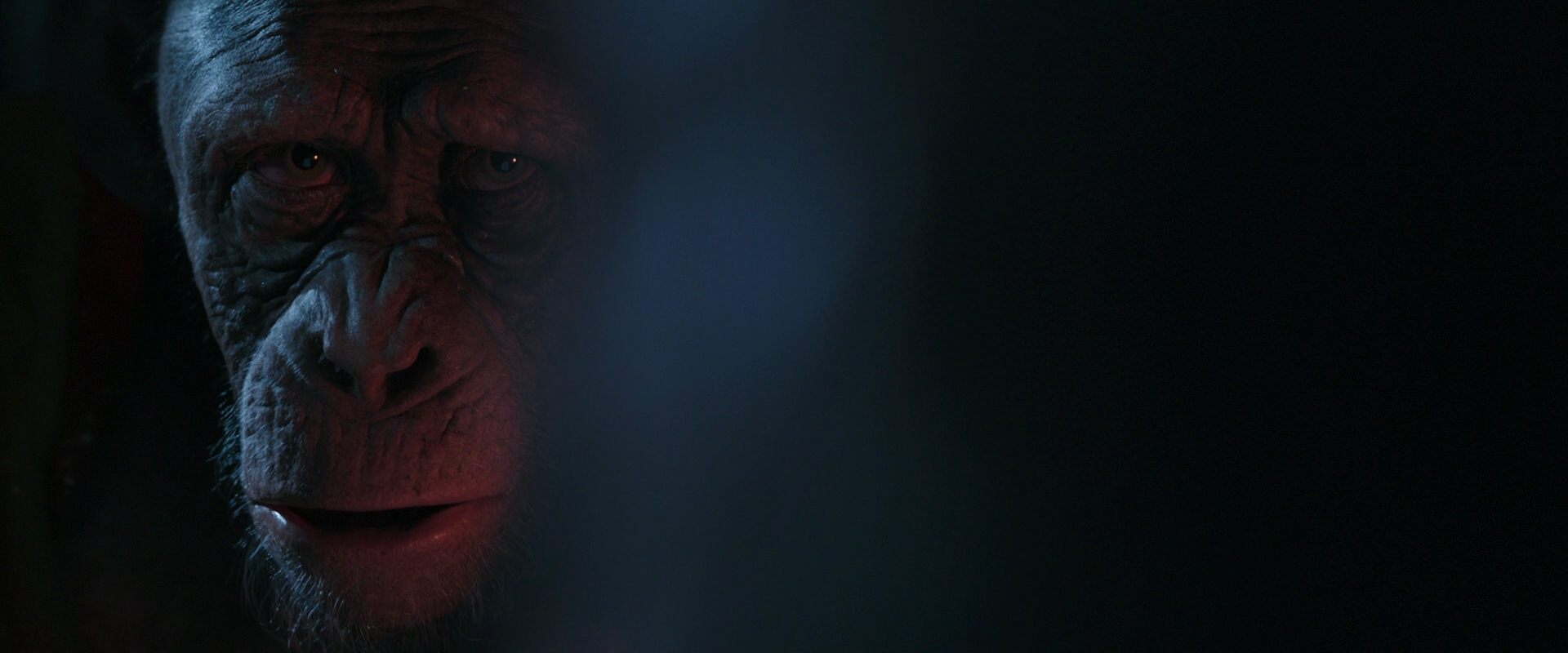 War for the Planet of the Apes (2017) movie still 6109