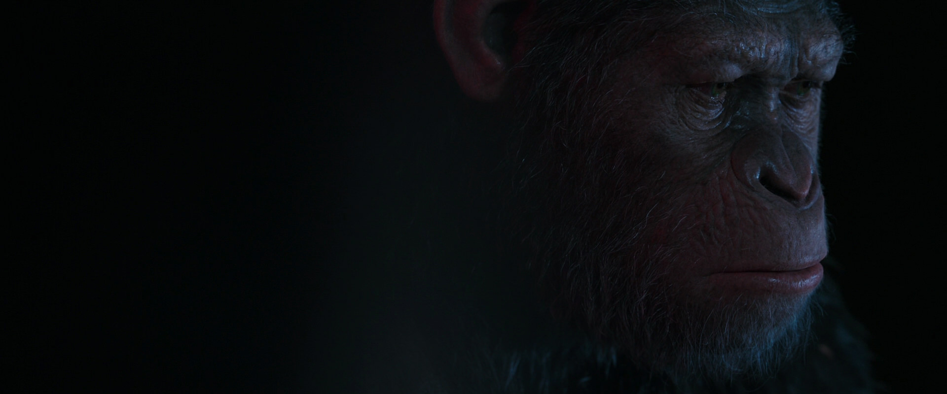 War for the Planet of the Apes (2017) HD screenshot 6113