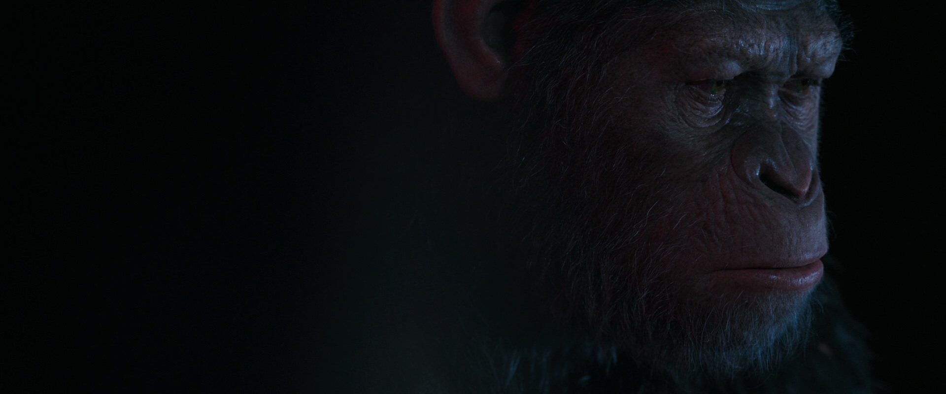 War for the Planet of the Apes (2017) screencap 6114