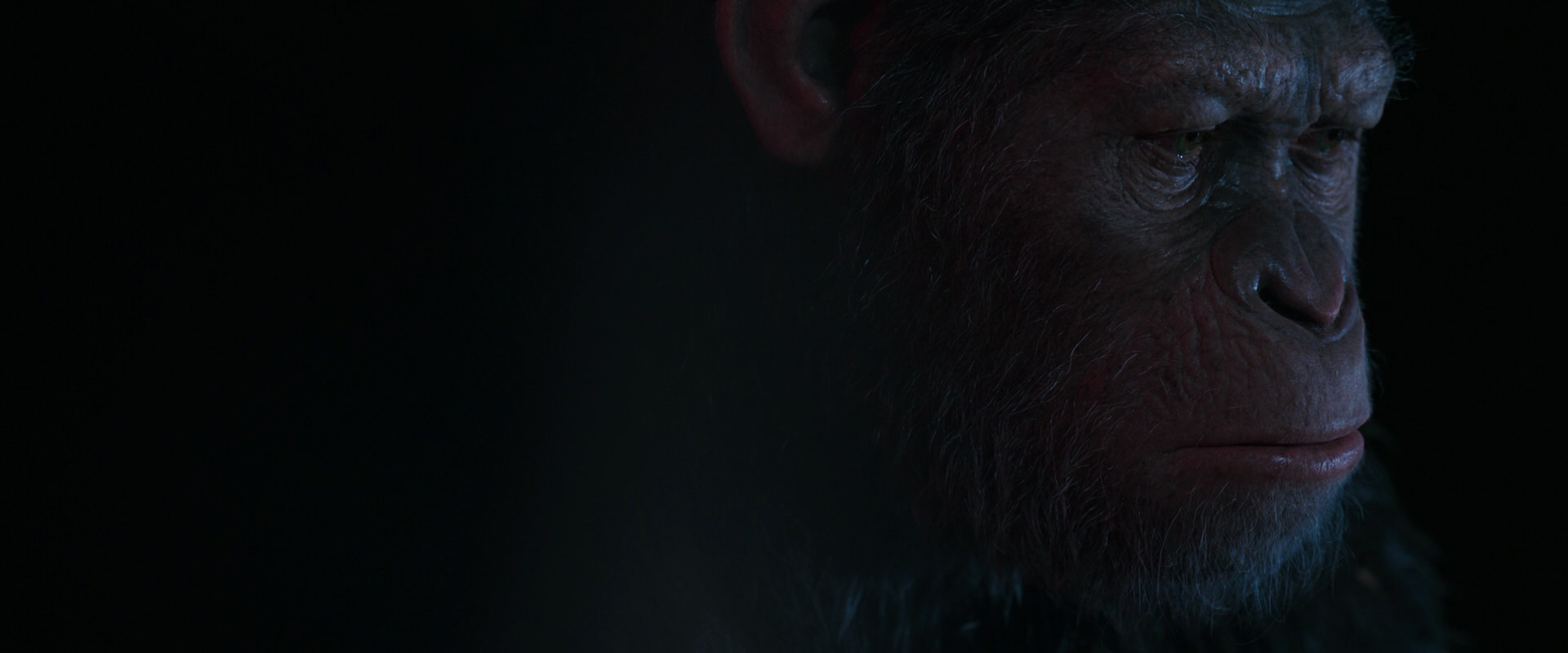 War for the Planet of the Apes (2017) movie still 6115