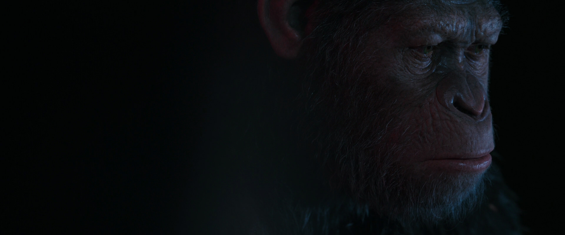 War for the Planet of the Apes (2017) screencap 6117