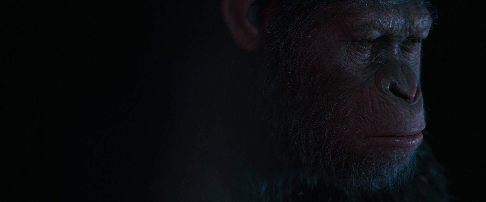 War for the Planet of the Apes (2017) HD screenshot 6119