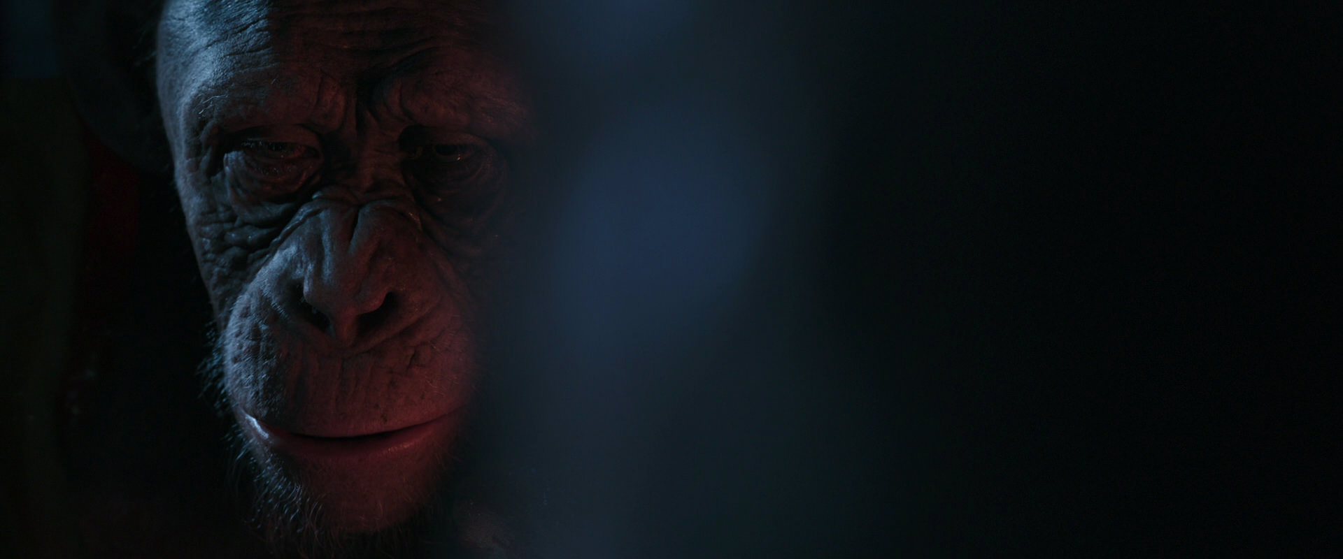 War for the Planet of the Apes (2017) movie still 6121