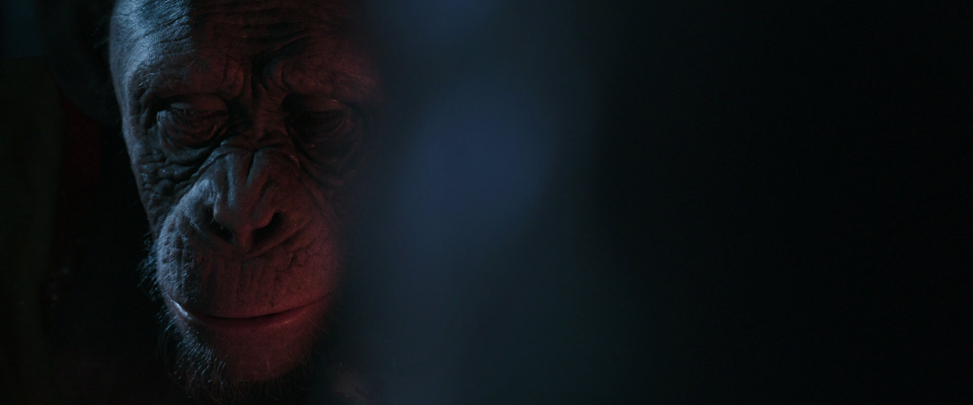 War for the Planet of the Apes (2017) screencap 6123