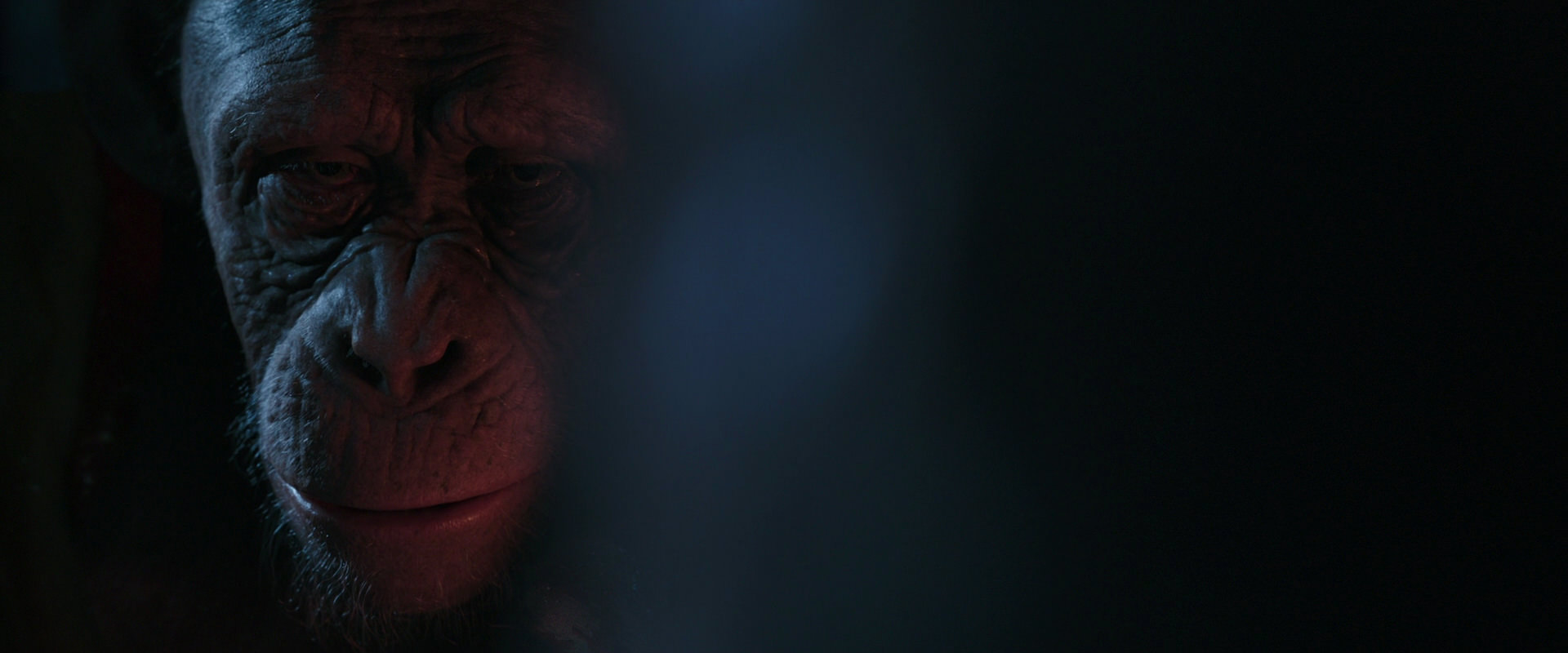 War for the Planet of the Apes (2017) movie still 6124