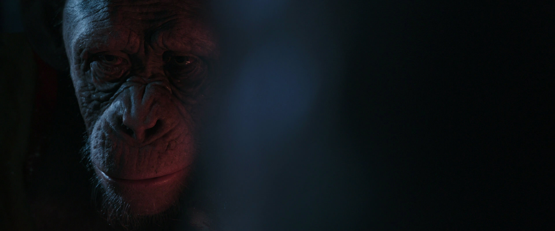 War for the Planet of the Apes (2017) screencap 6126