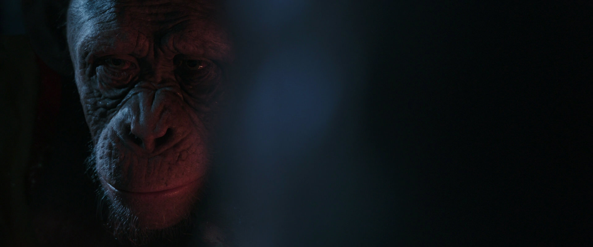 War for the Planet of the Apes (2017) movie still 6127