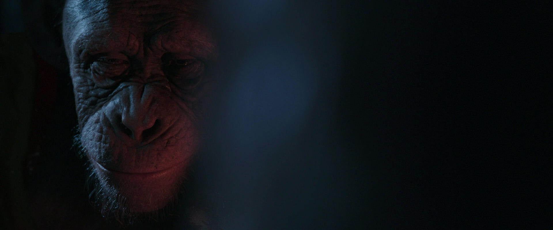 War for the Planet of the Apes (2017) screencap 6129