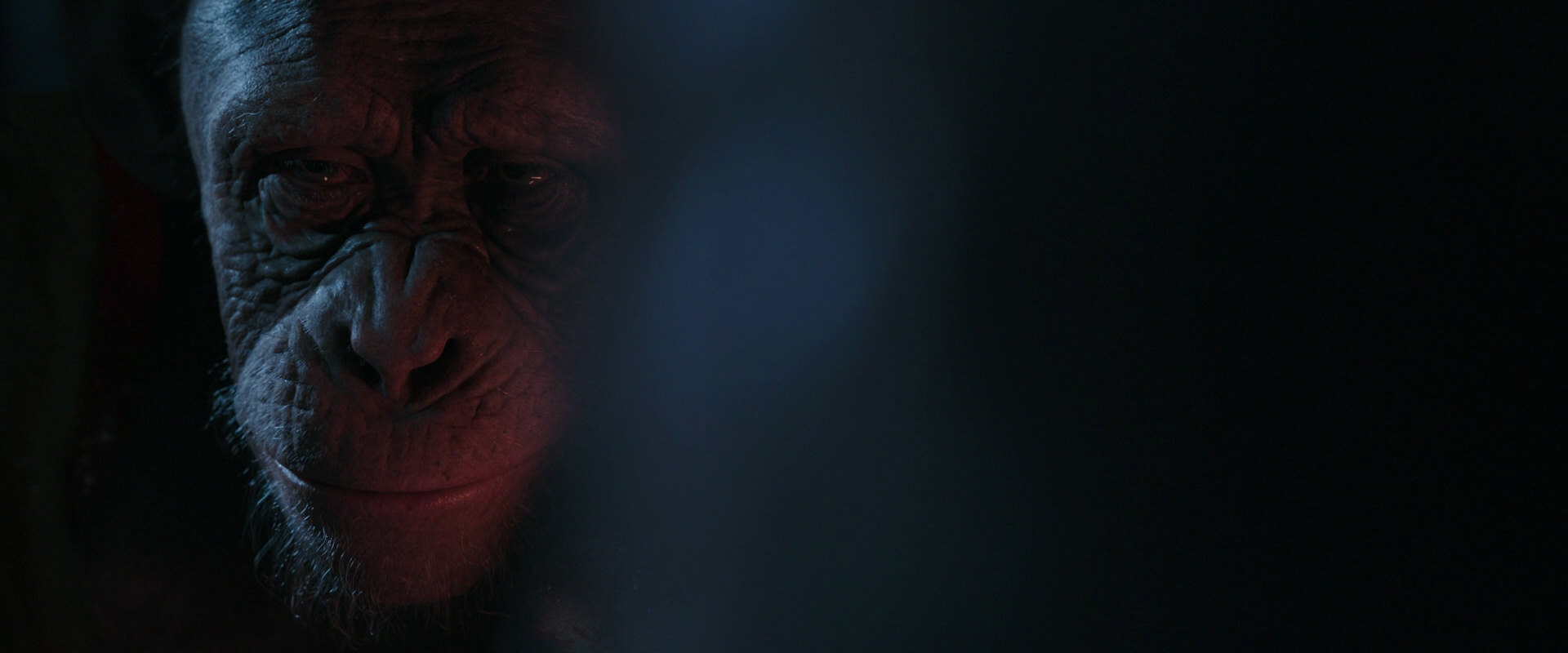War for the Planet of the Apes (2017) movie still 6130