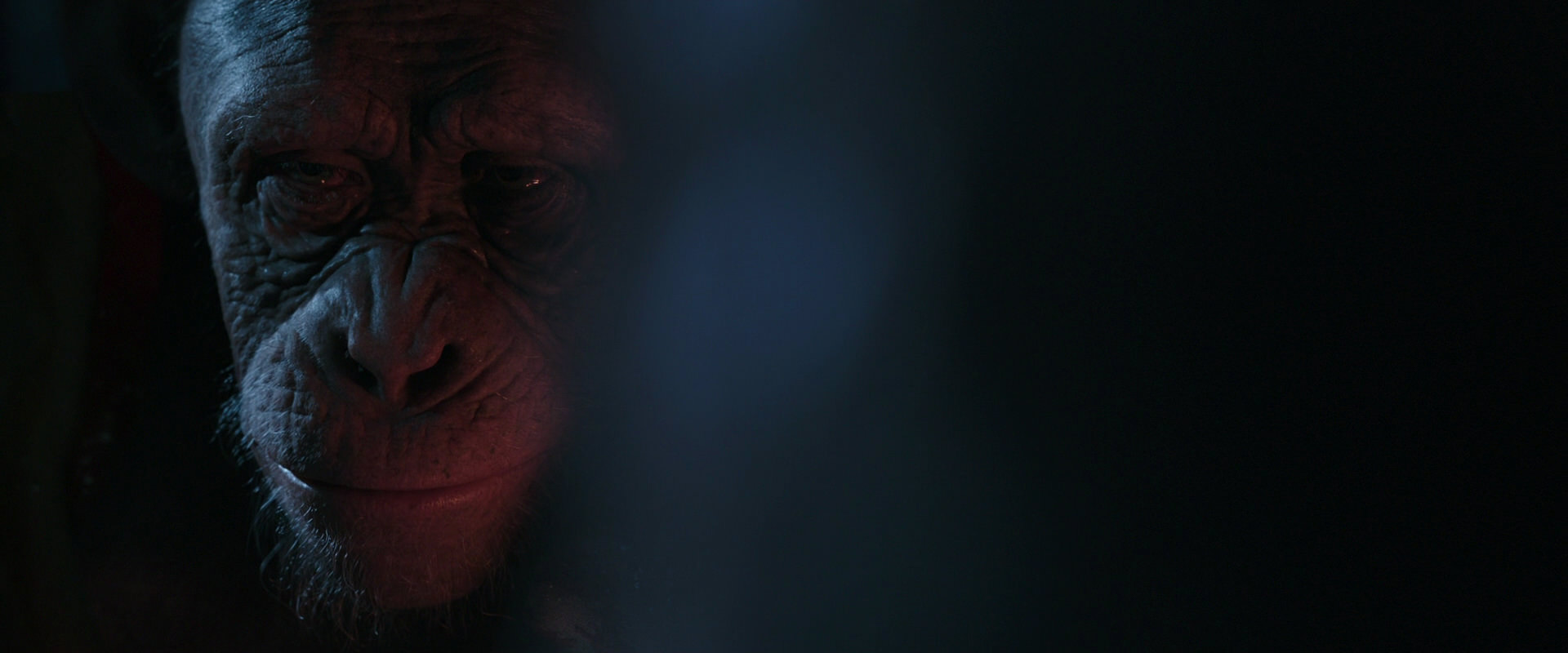 War for the Planet of the Apes (2017) screencap 6132