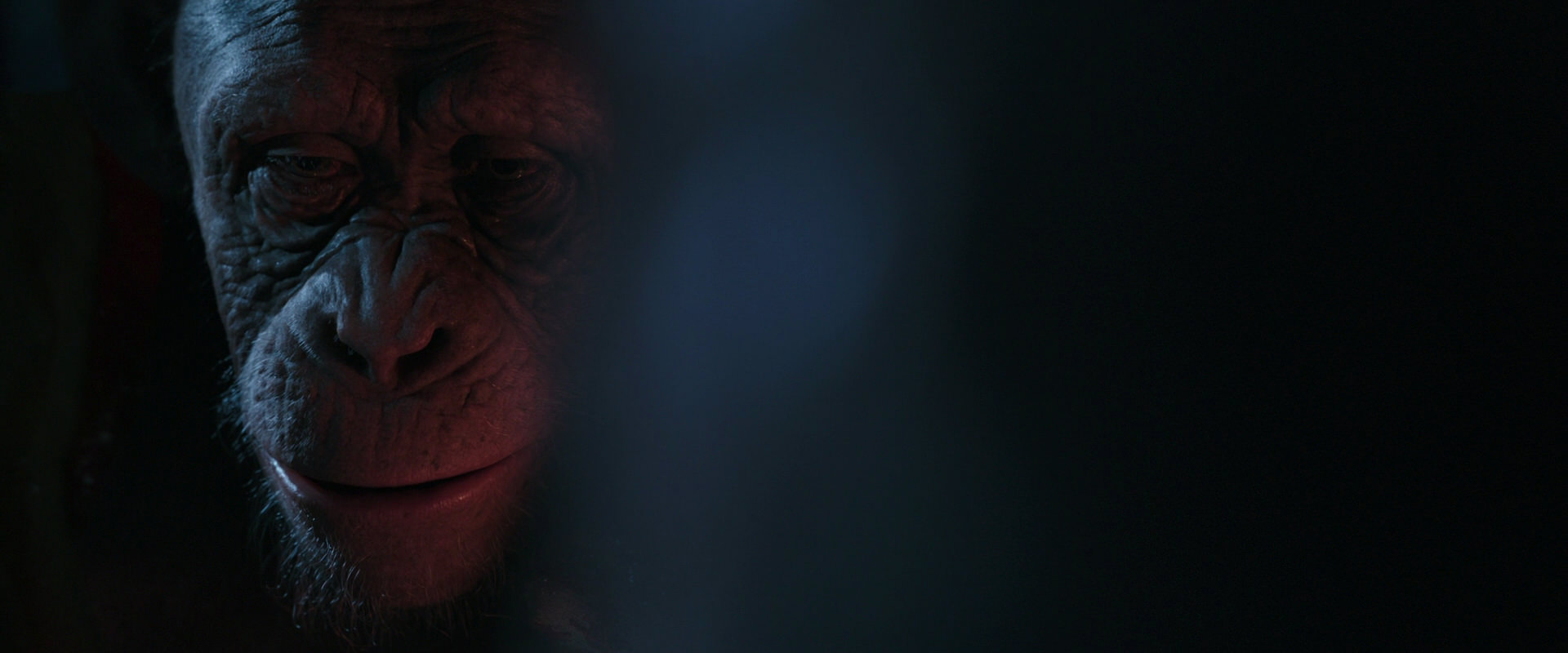 War for the Planet of the Apes (2017) screencap 6138