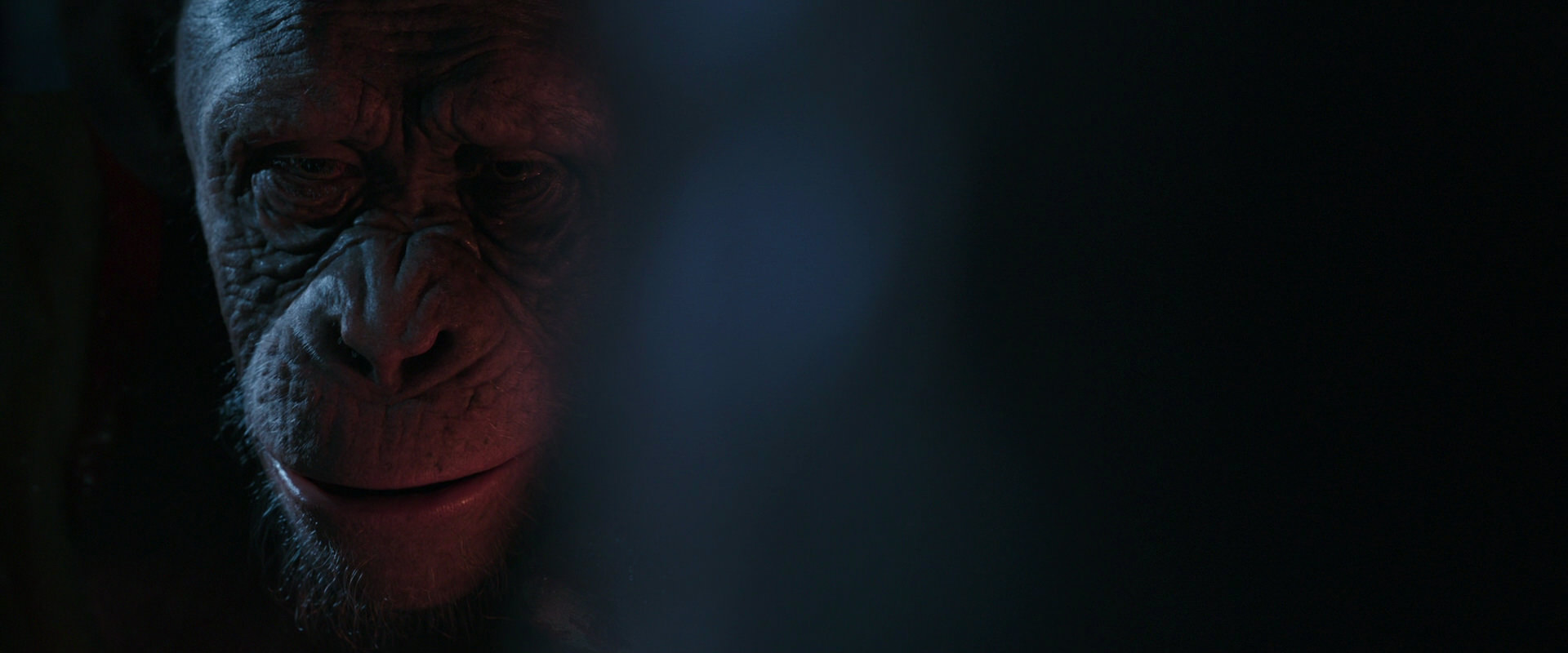 War for the Planet of the Apes (2017) movie still 6139