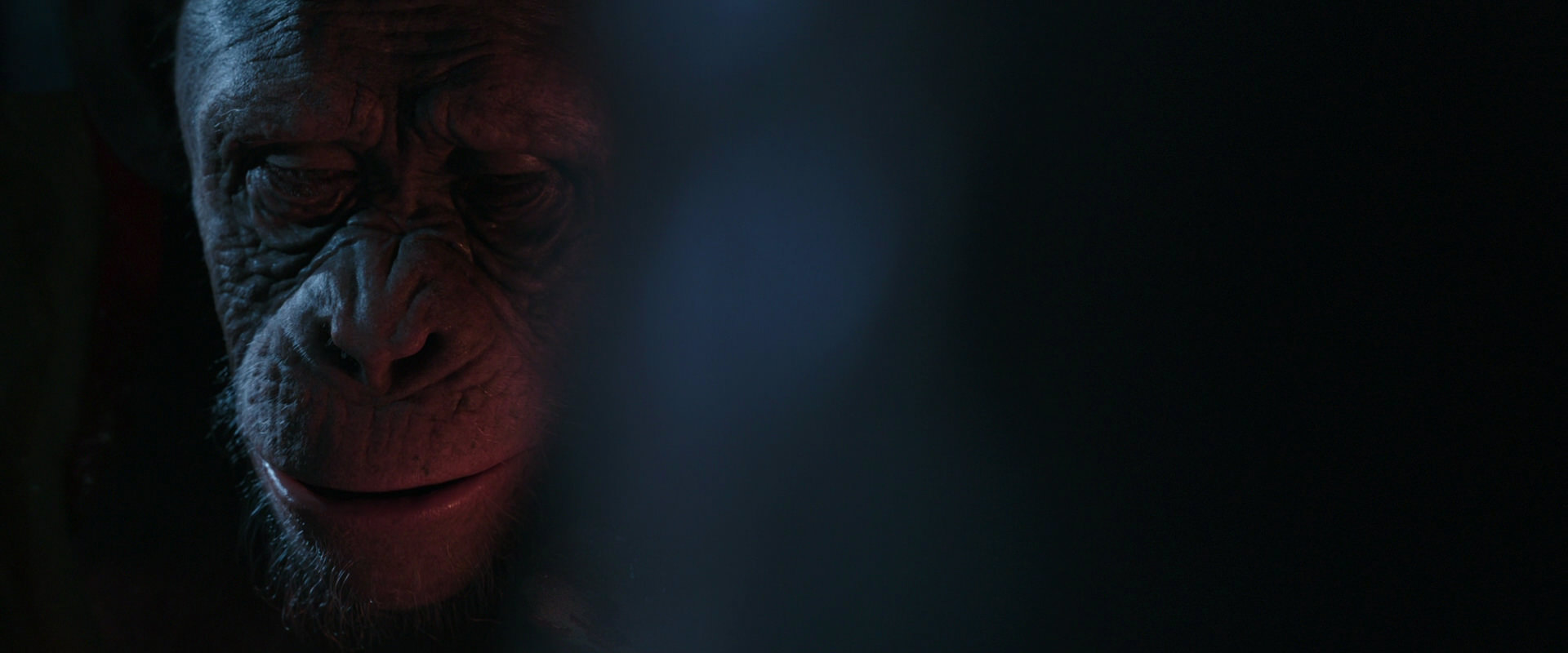 War for the Planet of the Apes (2017) screencap 6141