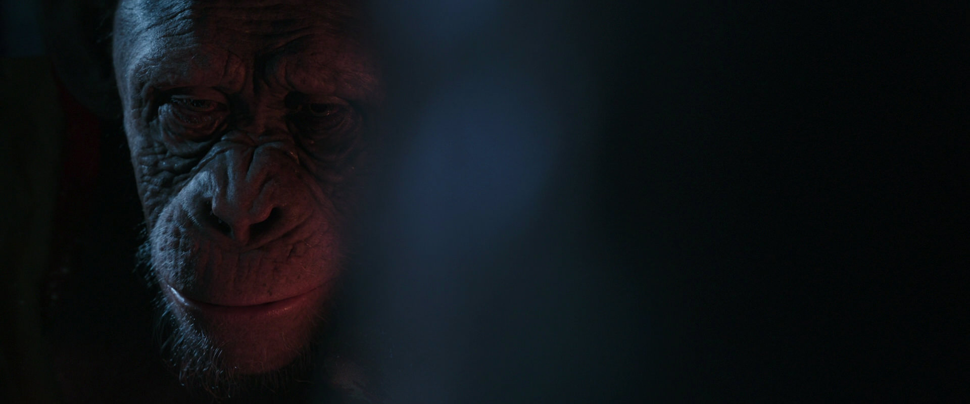 War for the Planet of the Apes (2017) movie still 6142