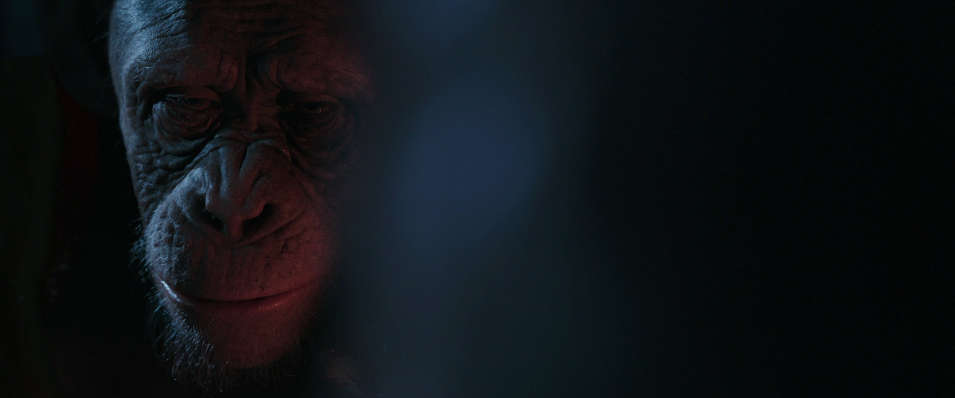 War for the Planet of the Apes (2017) HD screenshot 6143