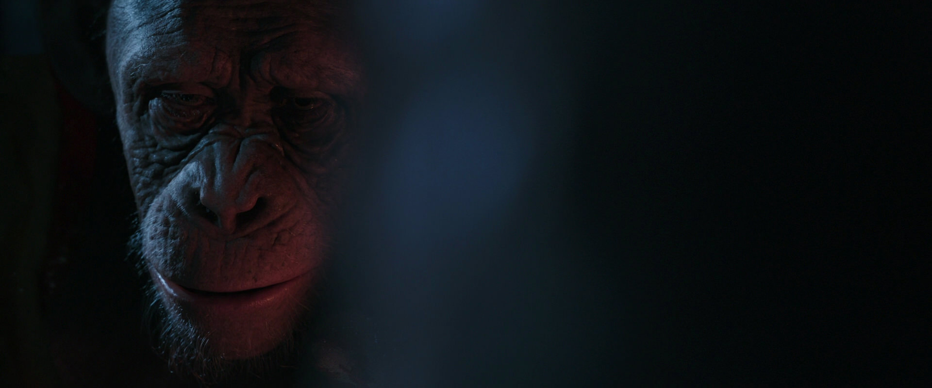 War for the Planet of the Apes (2017) screencap 6144