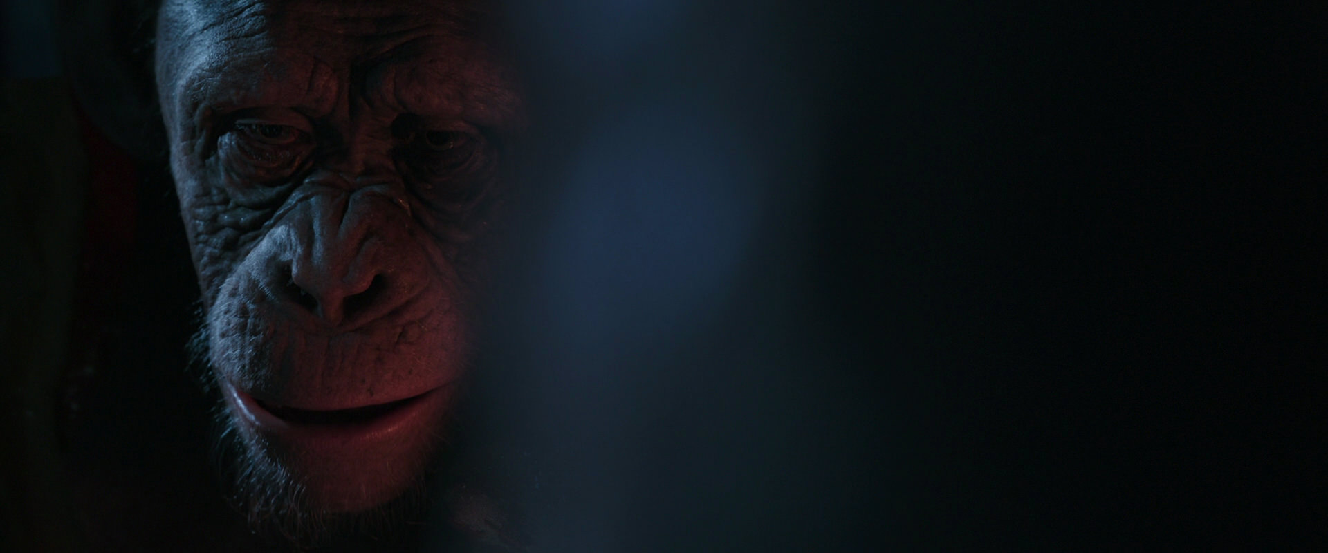 War for the Planet of the Apes (2017) movie still 6145