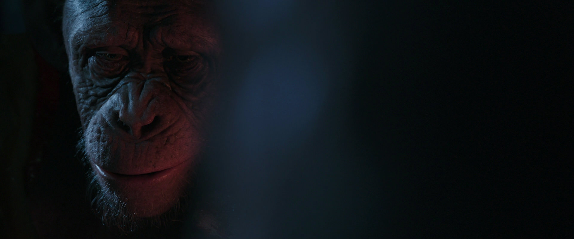 War for the Planet of the Apes (2017) screencap 6147