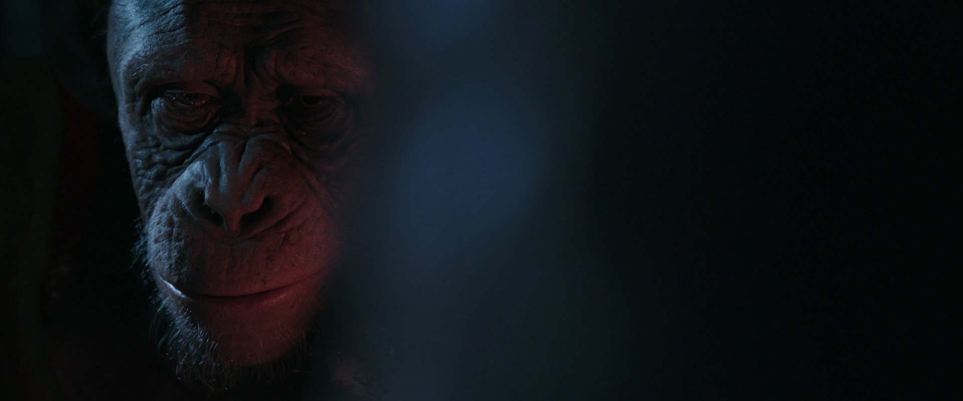War for the Planet of the Apes (2017) movie still 6148