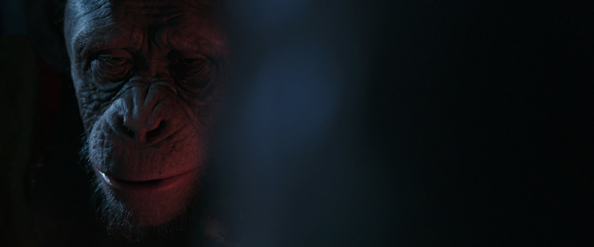 War for the Planet of the Apes (2017) screencap 6150