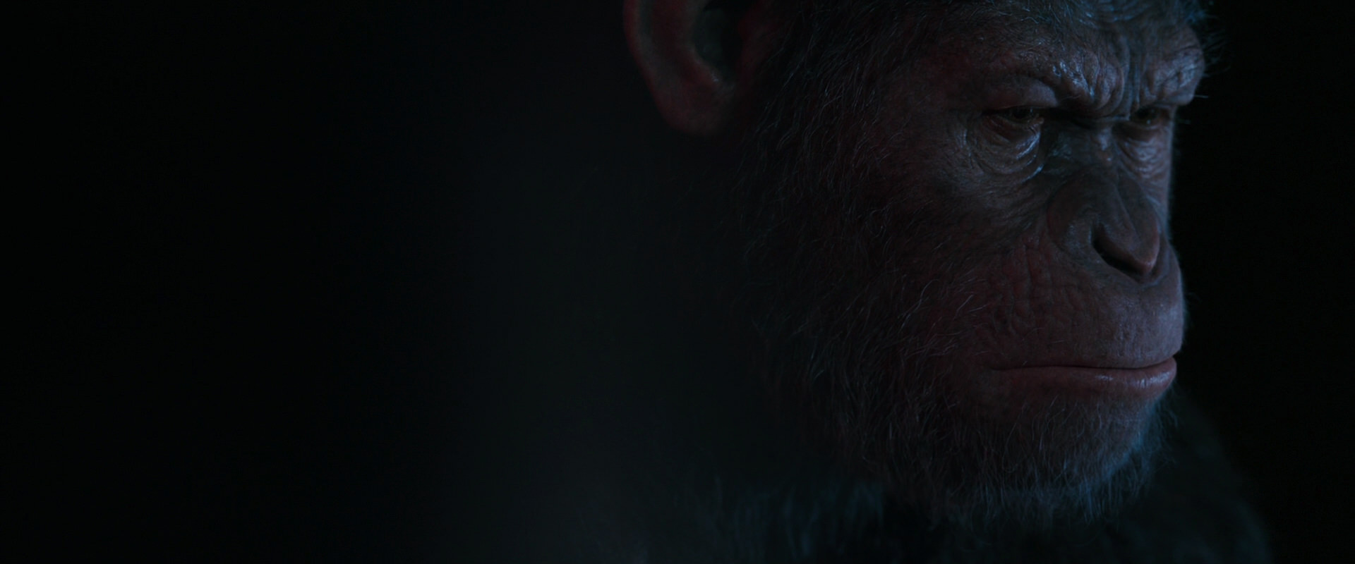 War for the Planet of the Apes (2017) movie still 6154