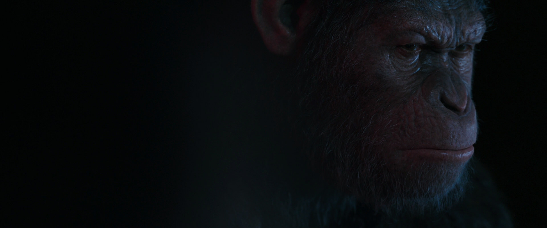 War for the Planet of the Apes (2017) HD screenshot 6155