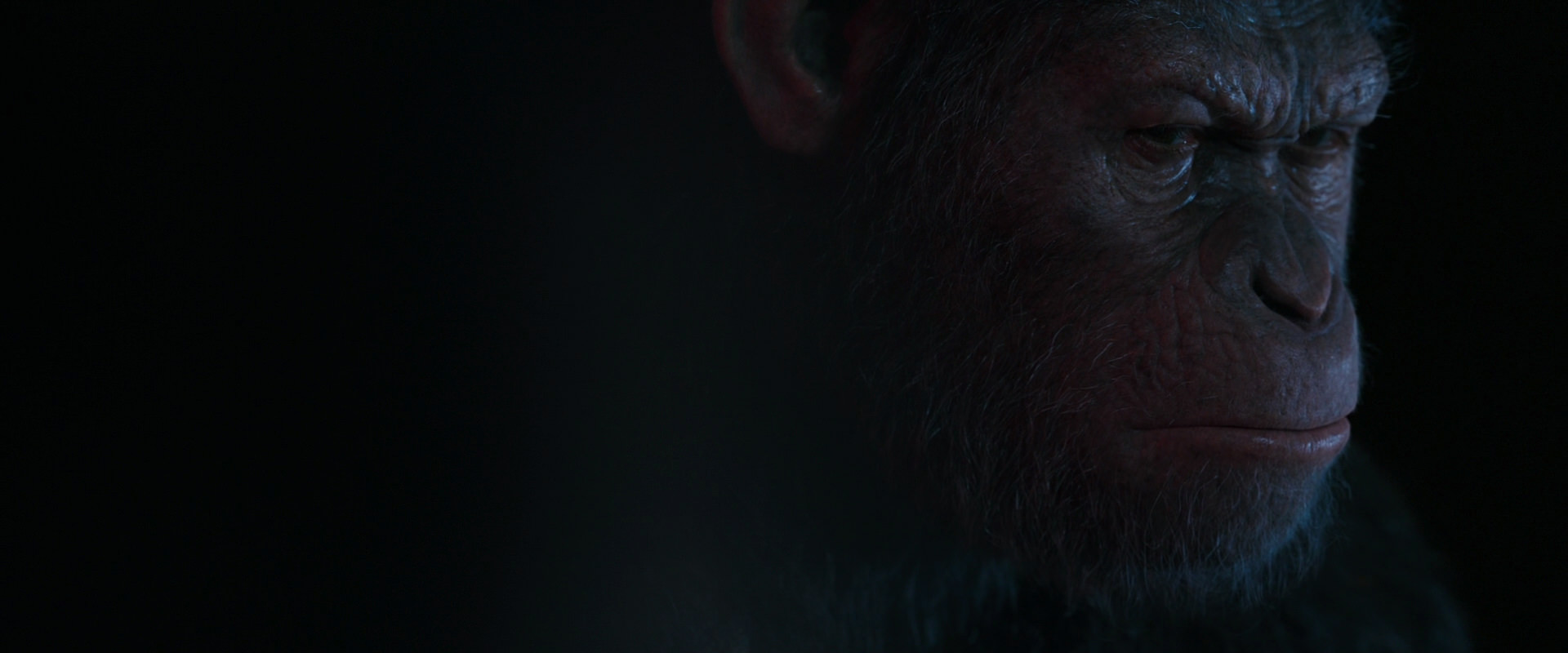 War for the Planet of the Apes (2017) screencap 6156