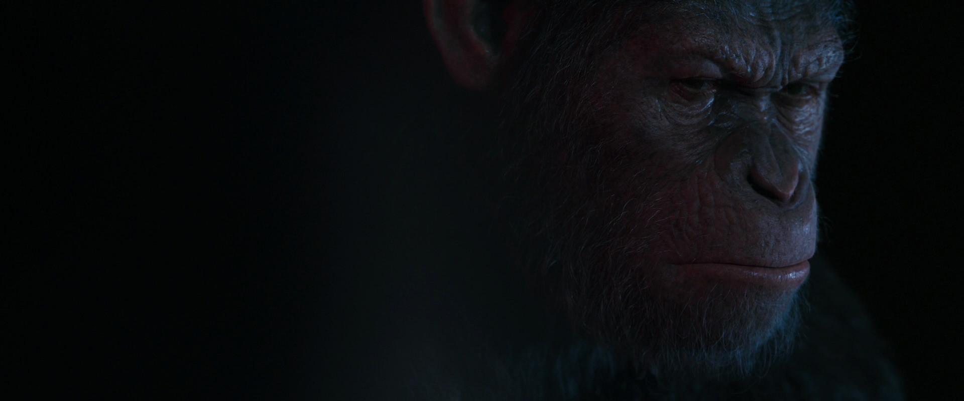 War for the Planet of the Apes (2017) movie still 6157